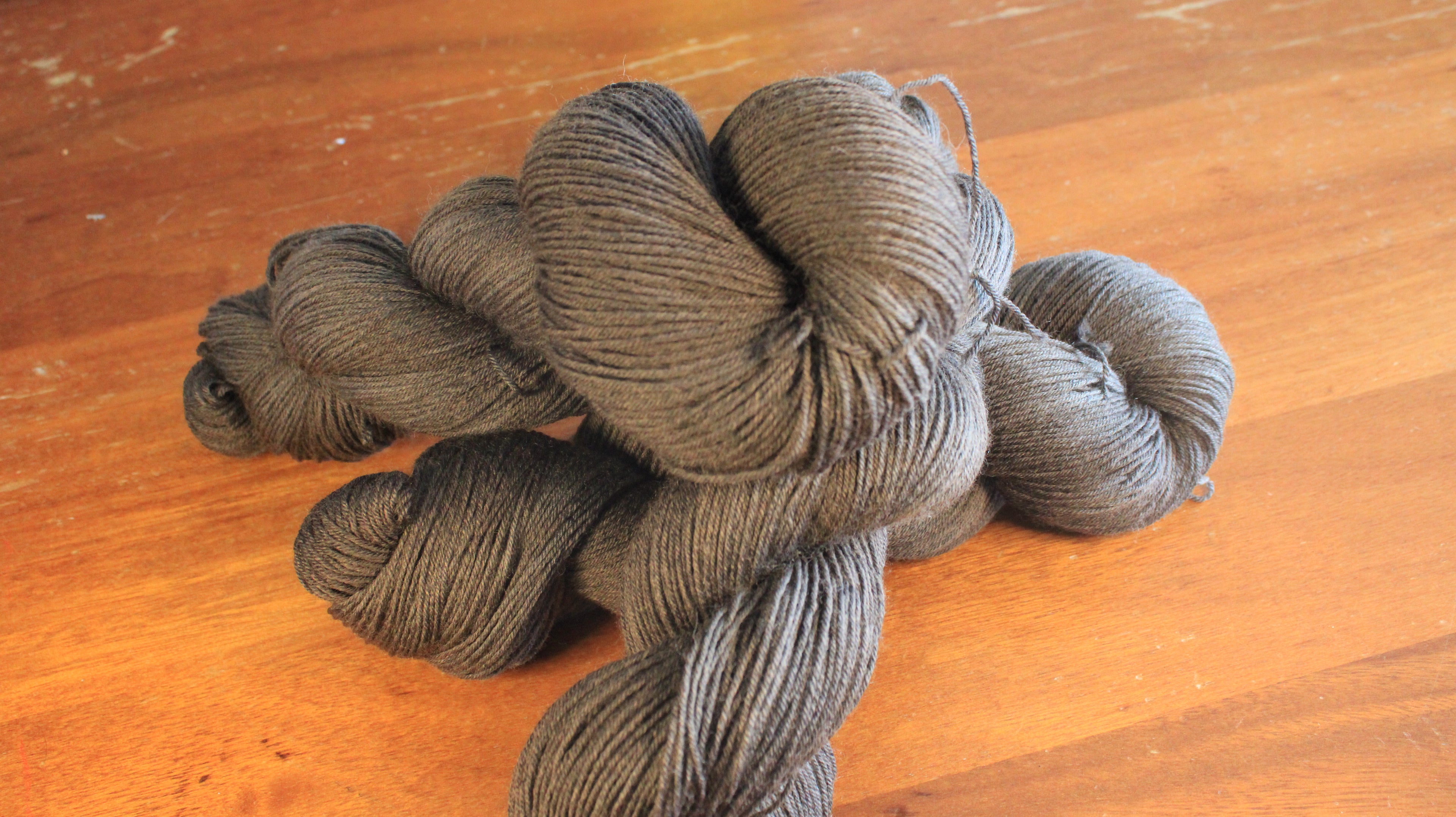 Tournesol - Éphémère du moment