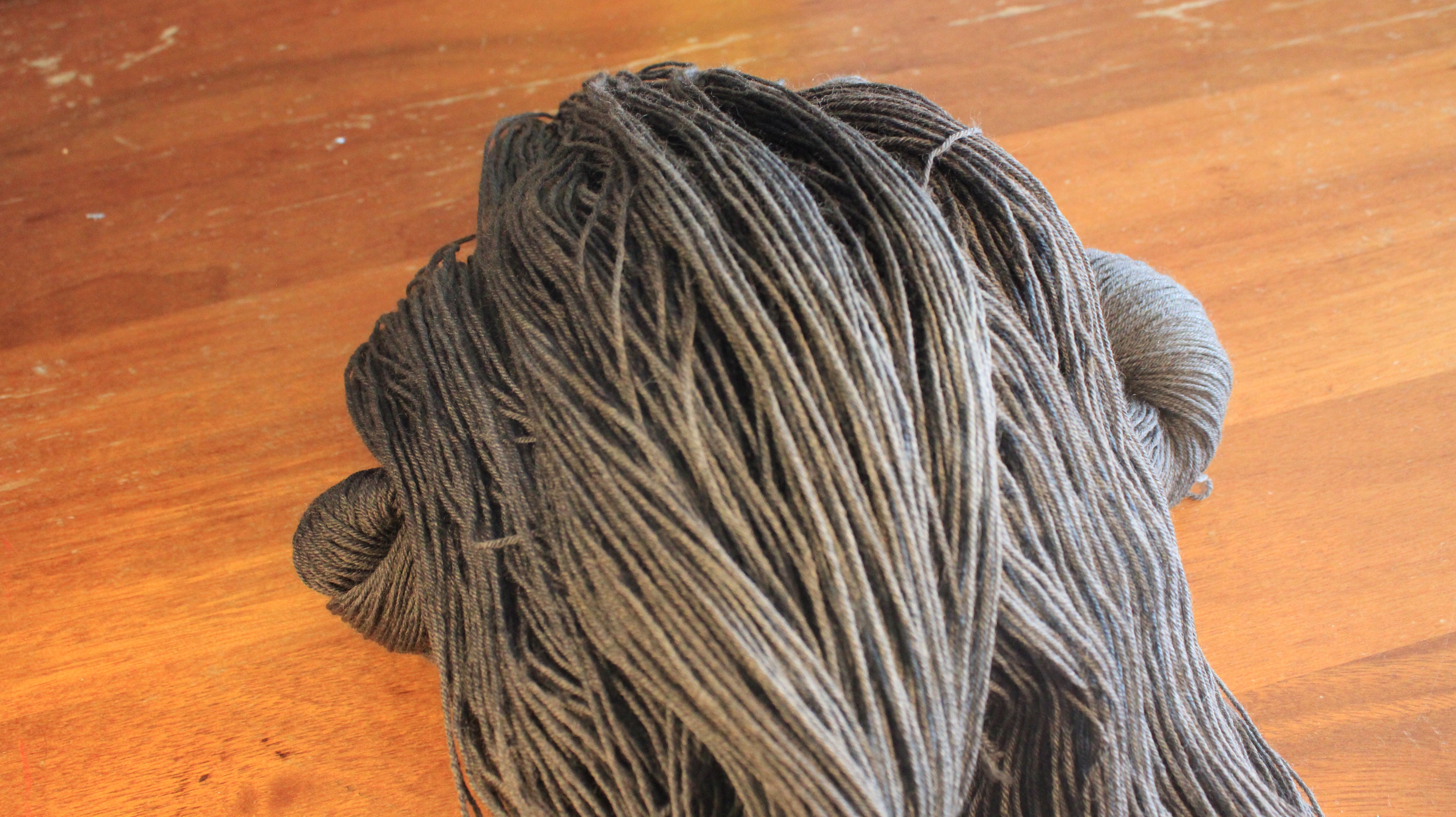 Tournesol - Éphémère du moment