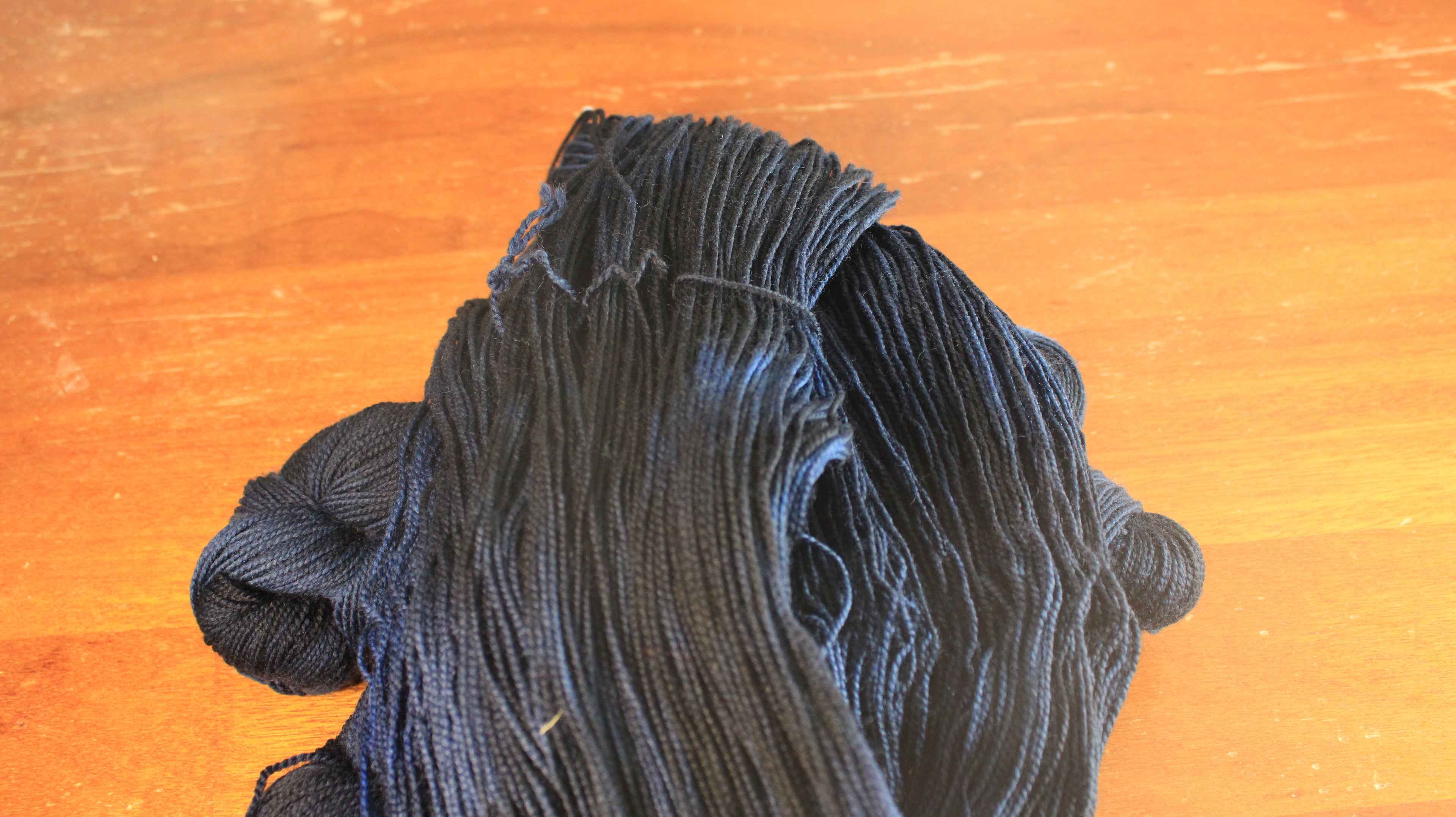 Bleuet Sauvage - Twist