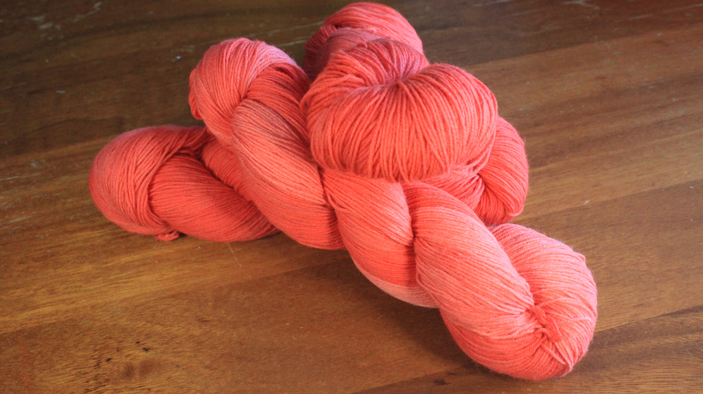 Corail - Tournesol