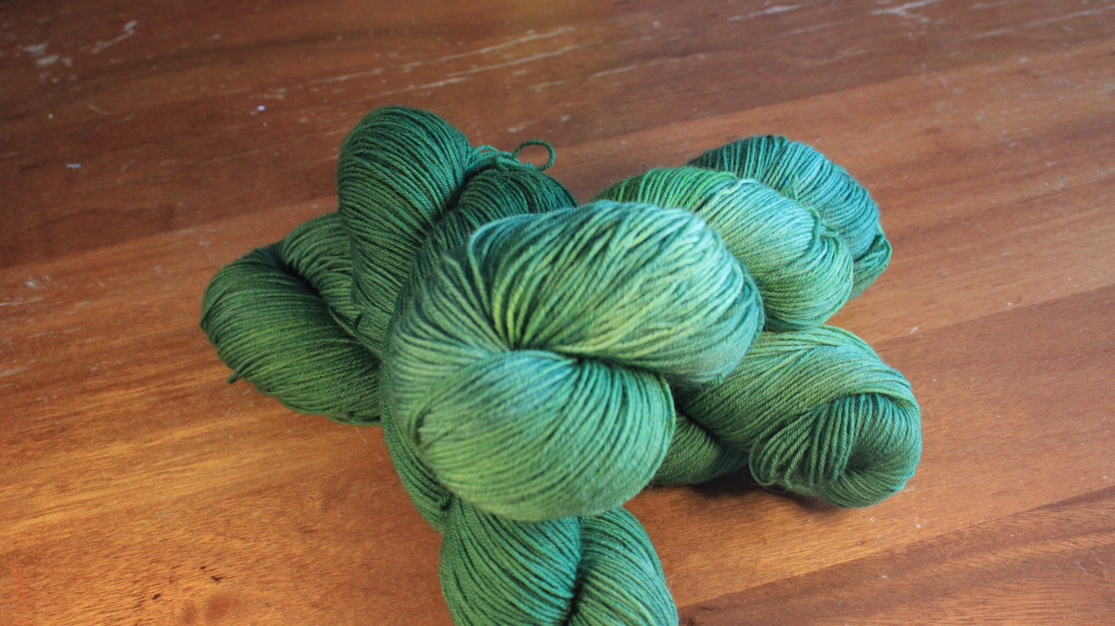 Fougère - Tournesol