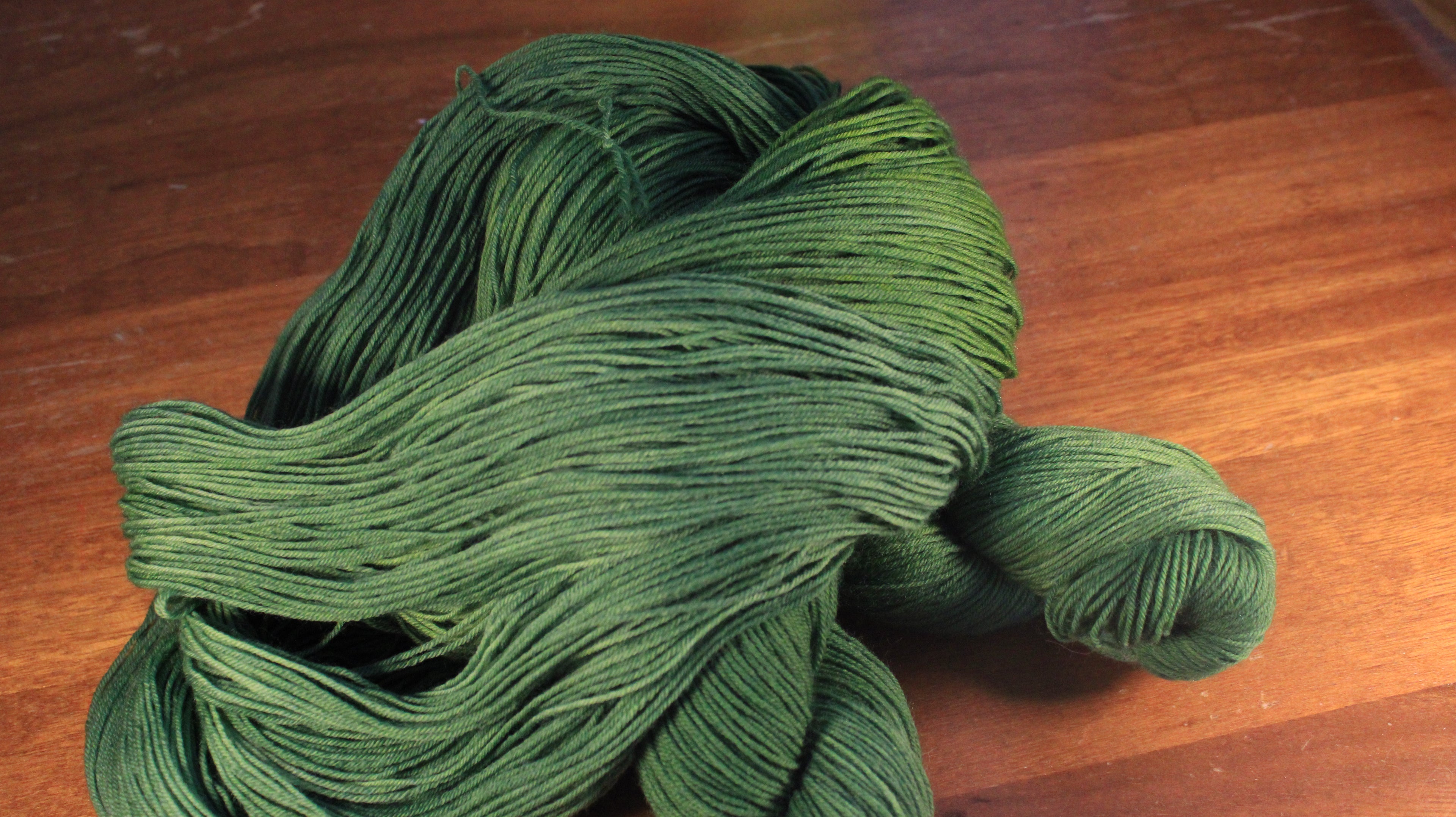 Fougère - Tournesol