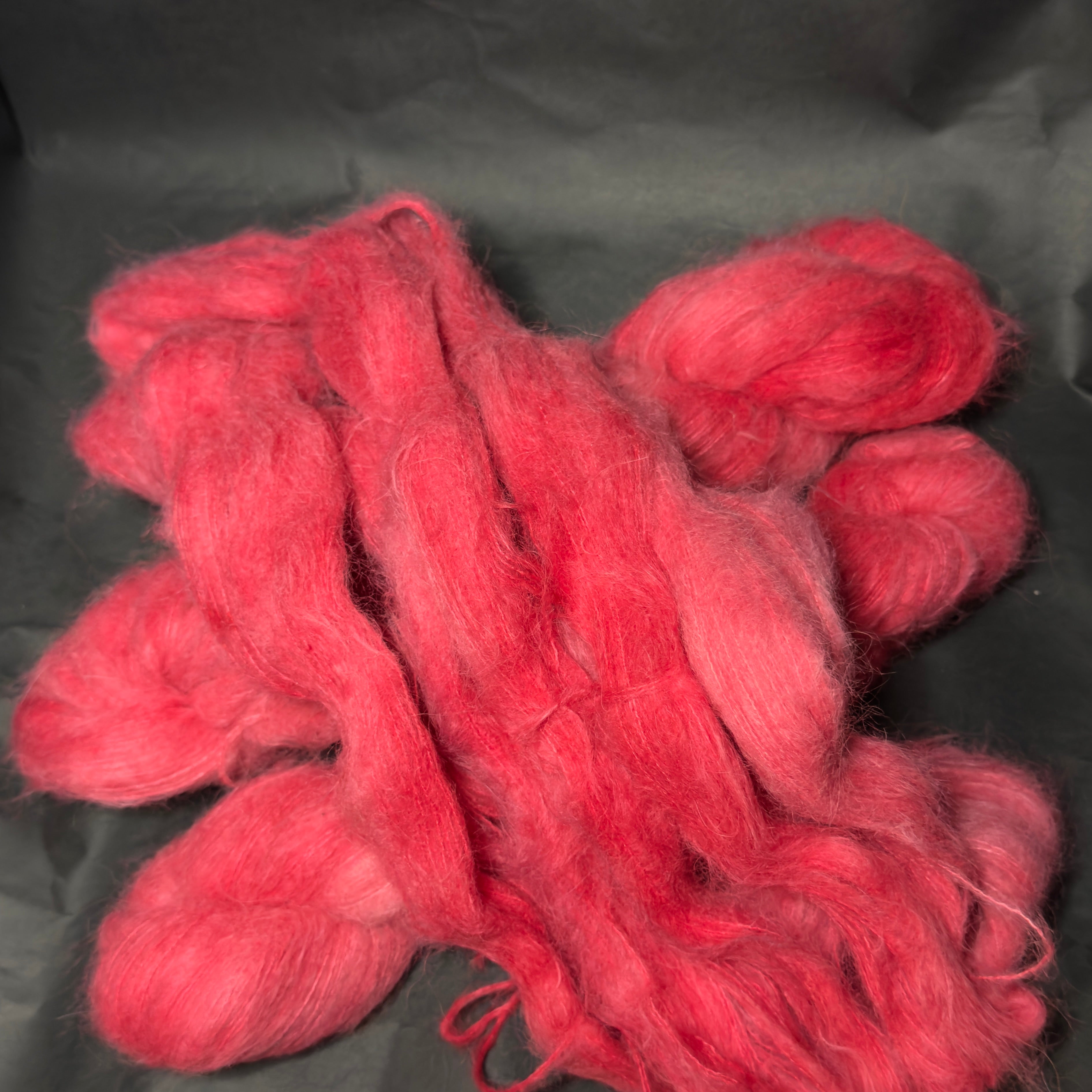 Plume - Éphémere du moment