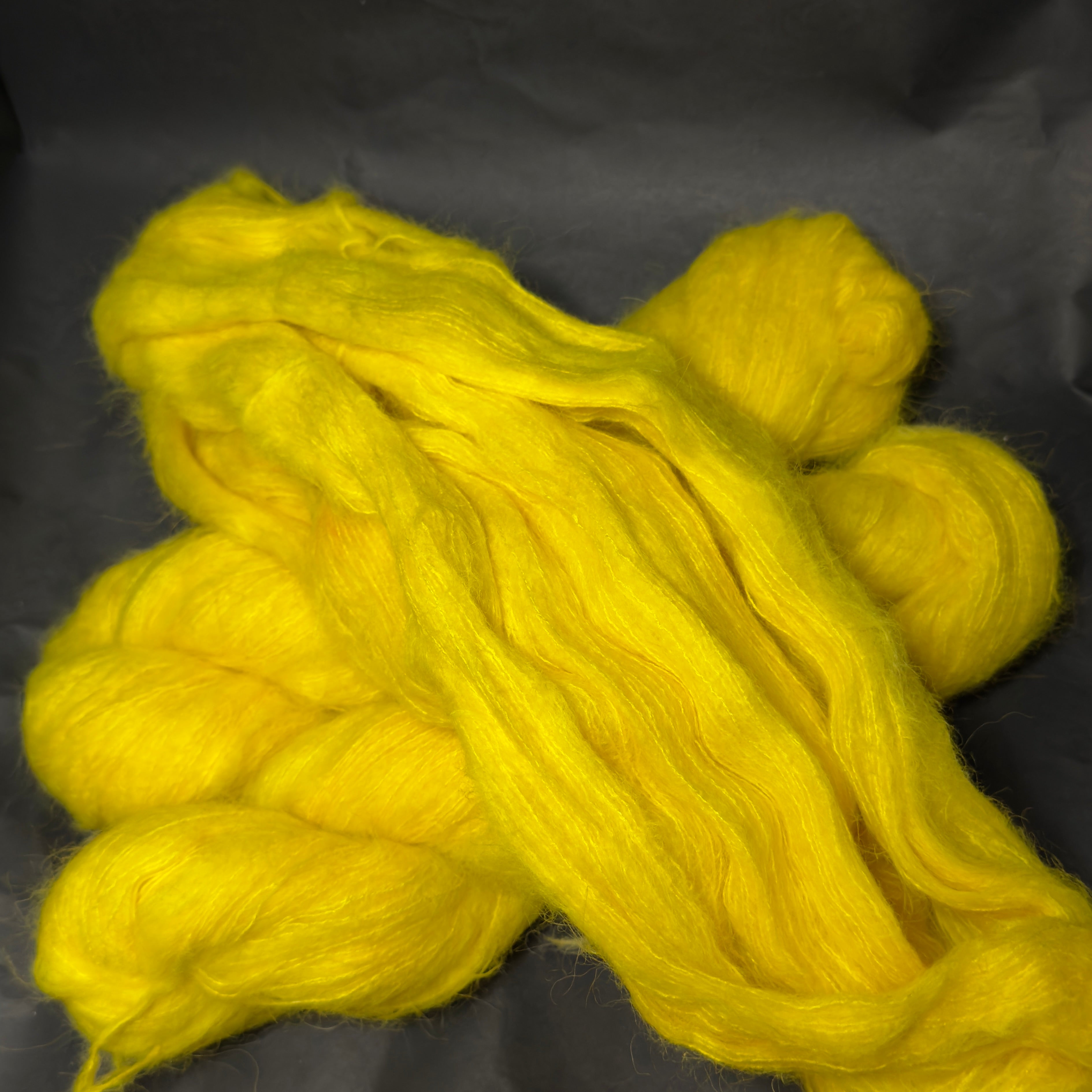 Plume - Éphémere du moment