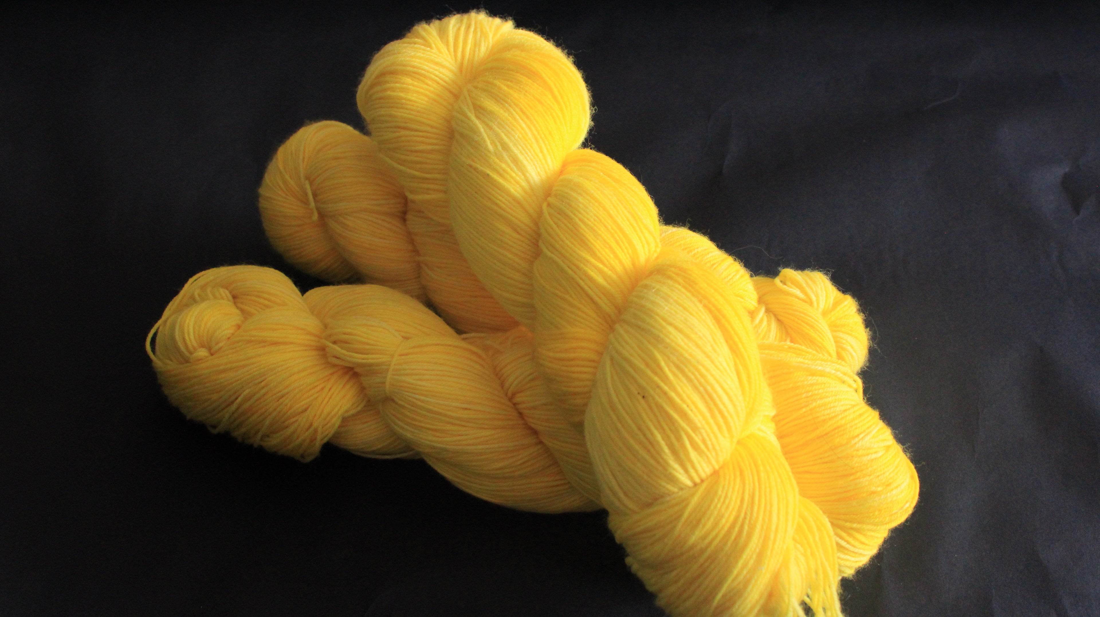 Tournesol - Éphémère du moment