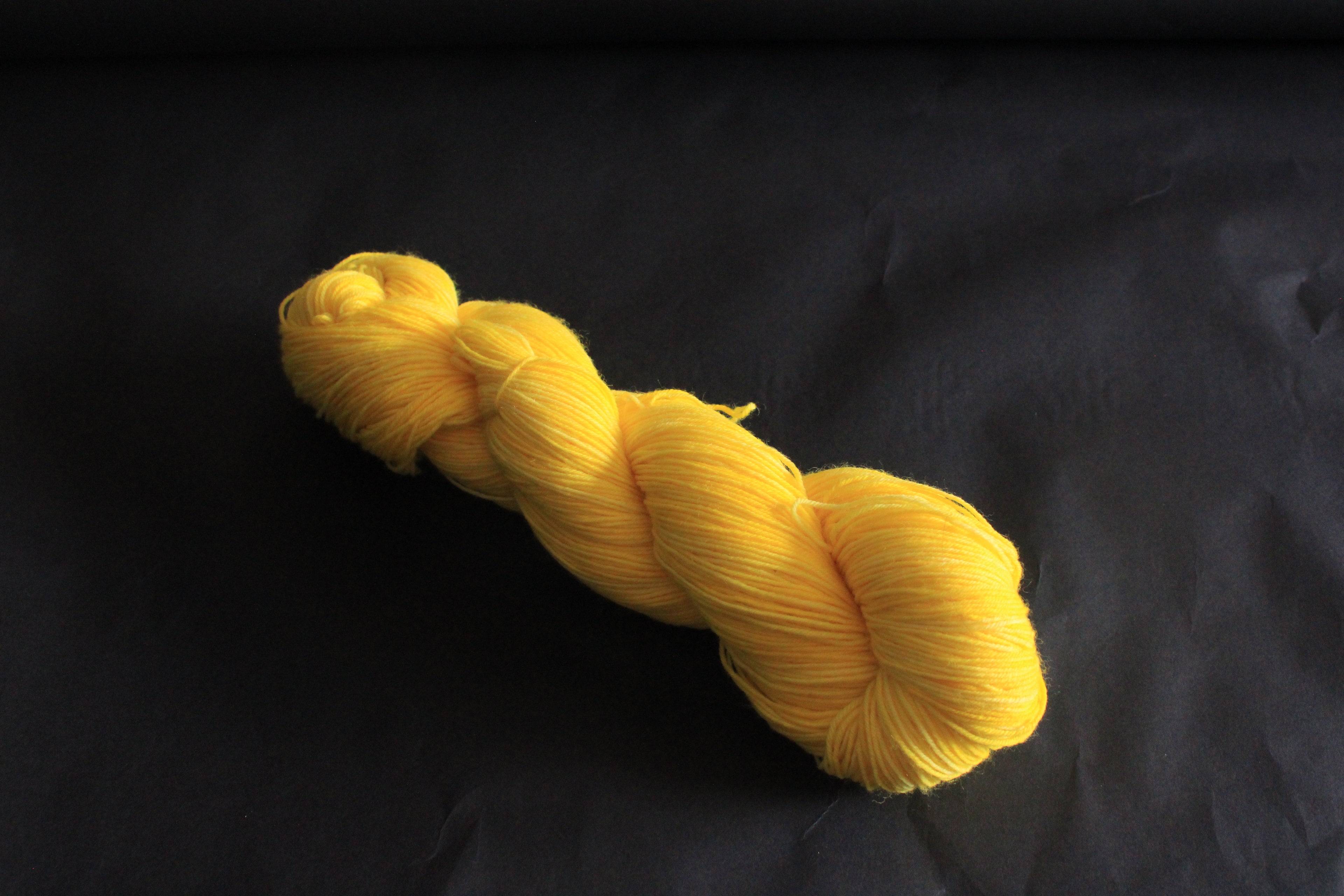 Tournesol - Éphémère du moment