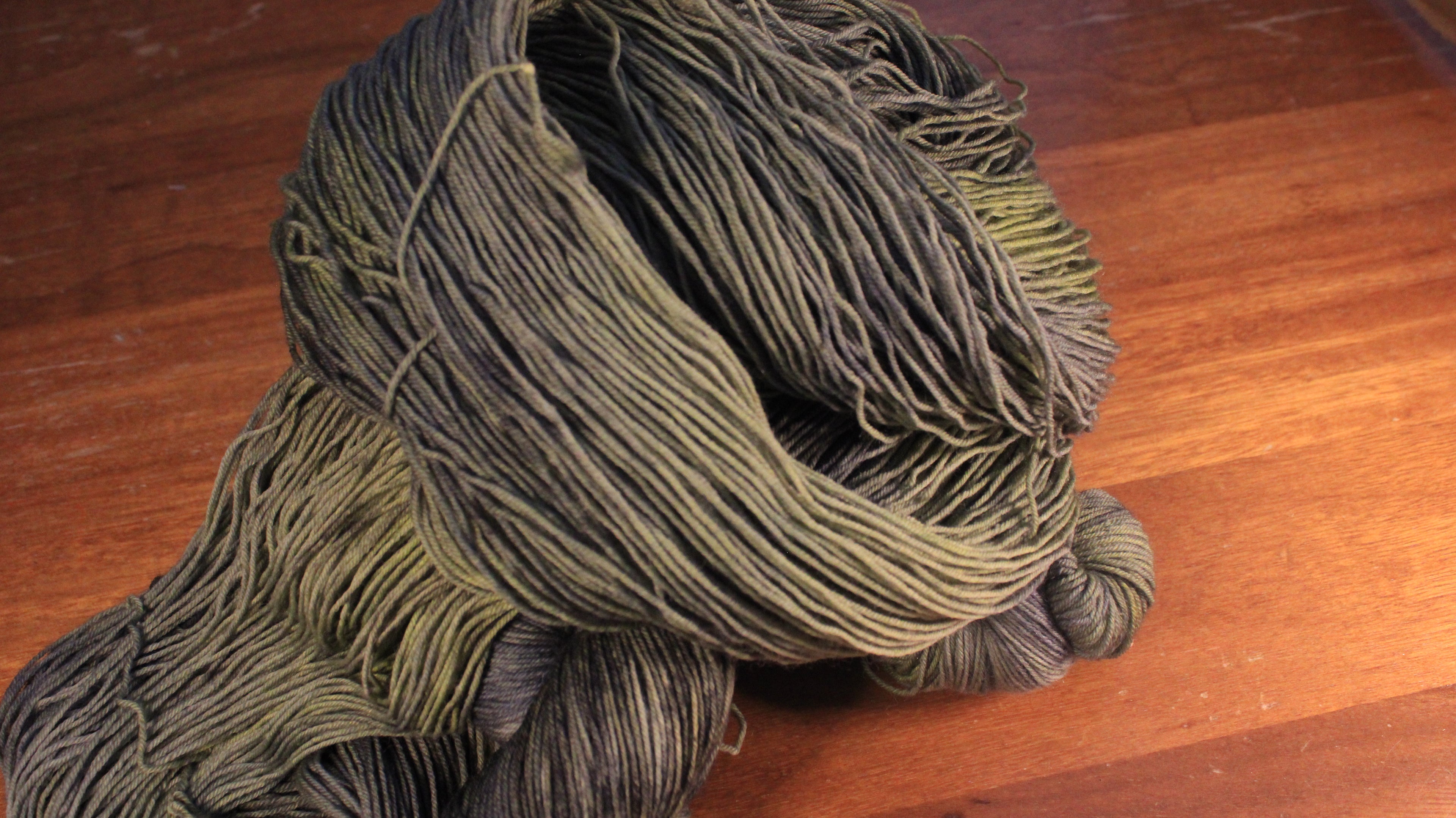 Lichen Brumeux - Tournesol