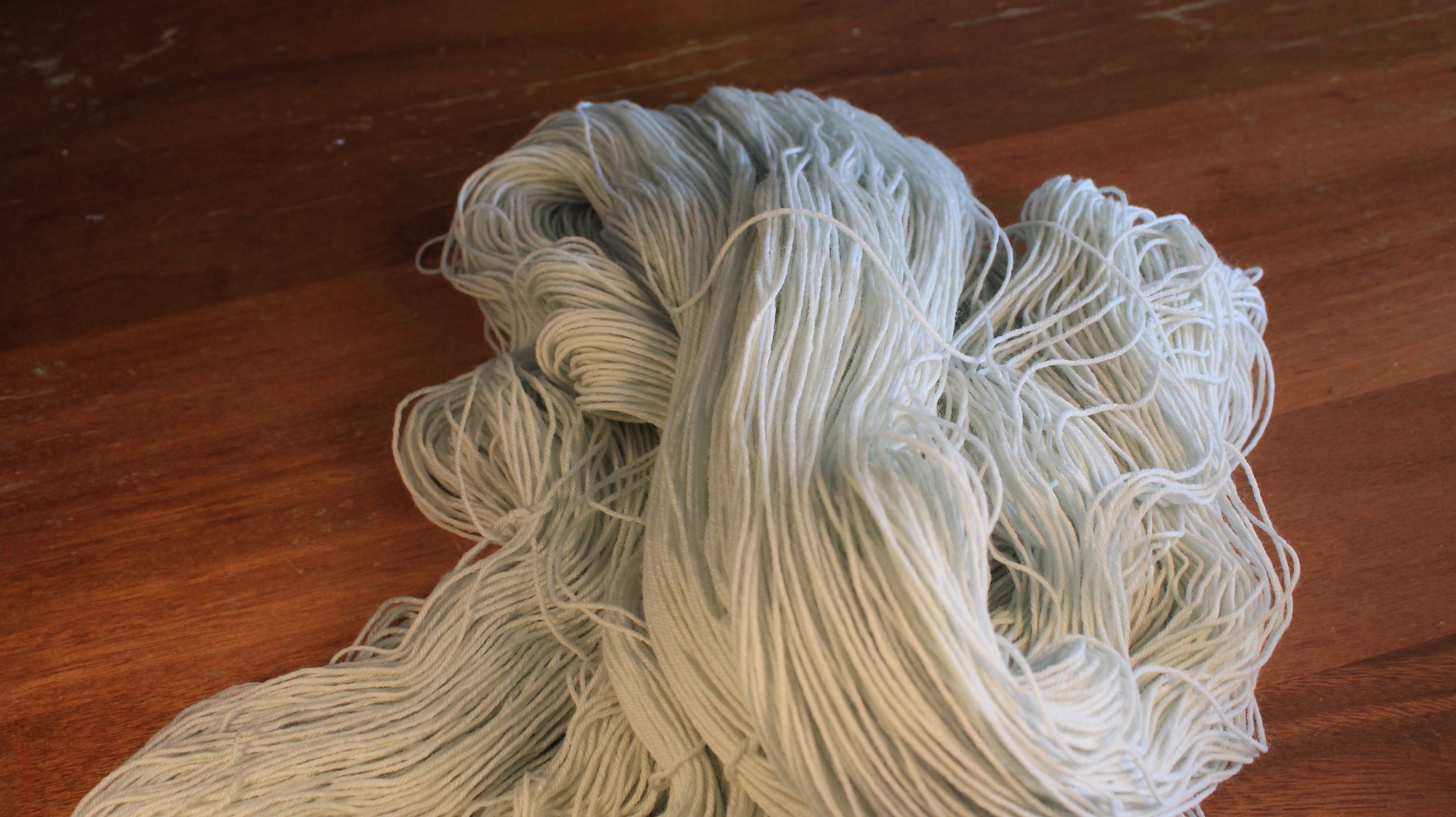 Tournesol - Éphémère du moment