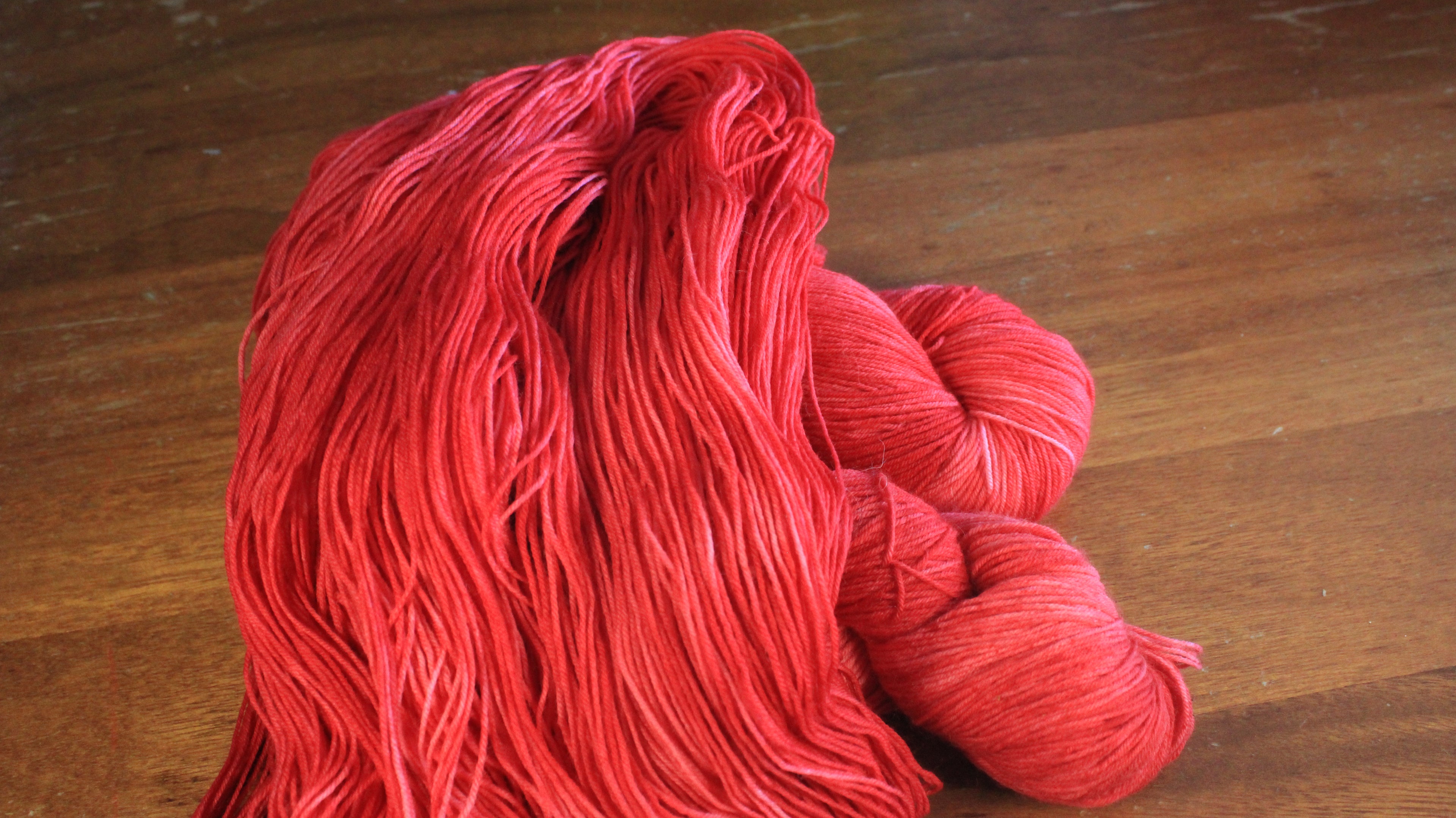 Tournesol - Éphémère du moment