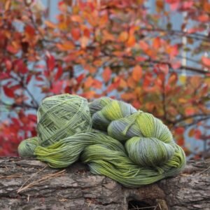 Lichen Brumeux - Twist