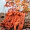 Épices d'automne - Twist - Image 2