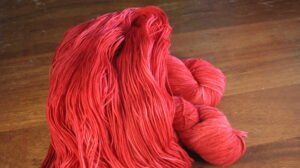 Tournesol - Éphémère du moment