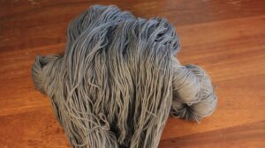 Tournesol - Éphémère du moment